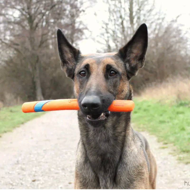 Vara para Perros Chuckit! Ultra Fetch Stick Vara para Perros Chuckit! Ultra Fetch Stick
